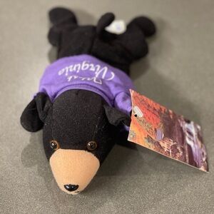 West Virginia Black Bear with Purple Shirt